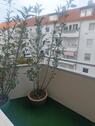 Foto - Tagesmiete - 40,00&nbsp;EUR Kaltmiete, ca.&nbsp; 30,00&nbsp;m&sup2;