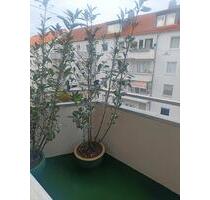 Tagesmiete - 40,00&nbsp;EUR Kaltmiete, ca.&nbsp; 30,00&nbsp;m&sup2; in Hannover (PLZ: 30161) Vahrenwald-List