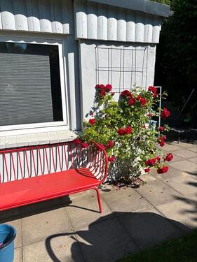 Foto - Grundst&uuml;ck in Schleswig