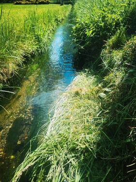 Foto - Gartengrundstück, Eigentumsland mit Bach