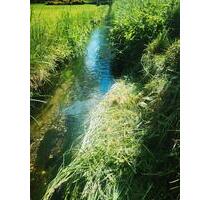 Gartengrundstück, Eigentumsland mit Bach - Königsbrück