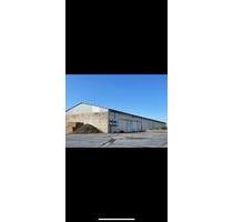 Lagerhalle bis 1800qm - 4,00&nbsp;EUR Kaltmiete, ca.&nbsp; 1,80&nbsp;m&sup2; in Torgau (PLZ: 04860)