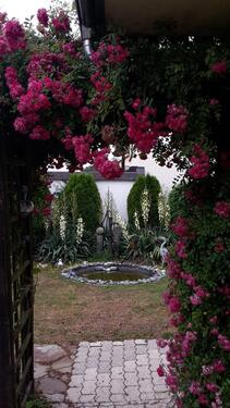 Foto - 2 Zimmer Erdgeschoßwohnung zur Miete in Asbach