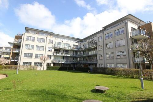 Foto - Erstklassige 1 Zimmer-Wohnung mit großer Terrasse zu mieten!