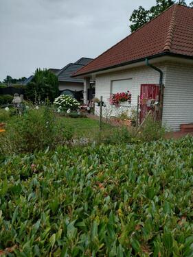 Foto - 3 Zimmer Bungalow in Lathen