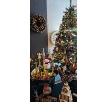 Letzte Termine vor Weihnachten ‍ - Harz (LK Goslar) Bergstadt Altenau-Schulenberg i.O.