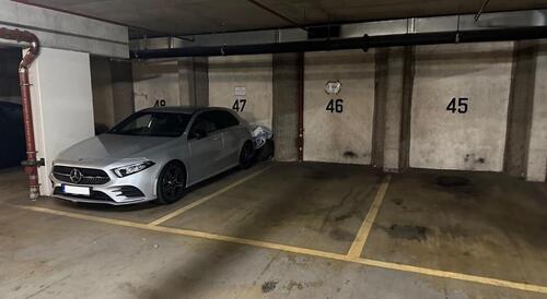 Foto - andere in Heidelberg