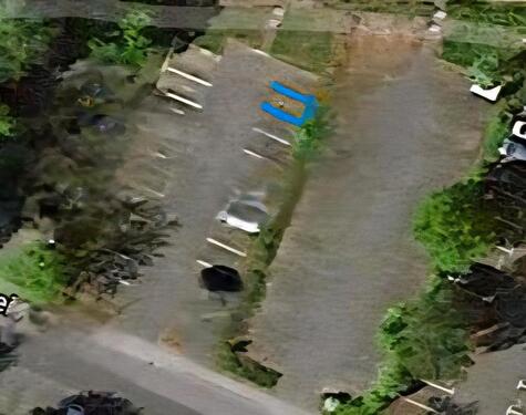 Foto - Stellplatz in Vellmar West - 20,00 EUR Miete,