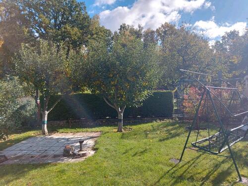 Foto - Garten in Chemnitz Markersdorf abzugeben