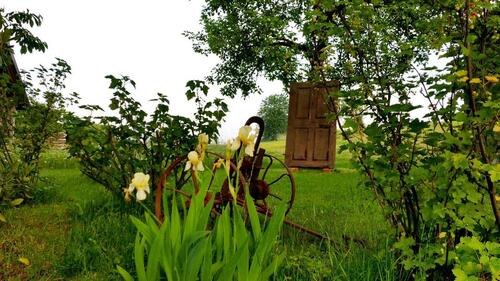 Foto - andere zur Miete in Roding