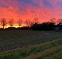 Mietwohnung in Bad Essen - 430,00 EUR Kaltmiete, ca.  54,00 m² in Bad Essen (PLZ: 49152)