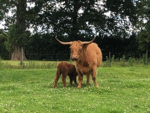 Foto - 2 Zimmer Etagenwohnung zur Miete in Wurster Nordseeküste