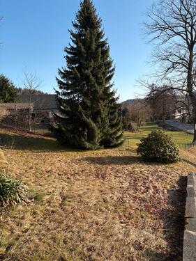 Foto - Einfamilienhaus in Lichtenberg/Erzgebirge