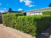 Foto - 3 Zimmer Bungalow in Gronau (Westfahlen)