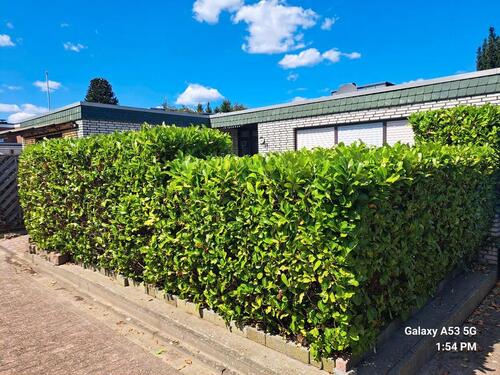 Foto - 3 Zimmer Bungalow in Gronau (Westfahlen)