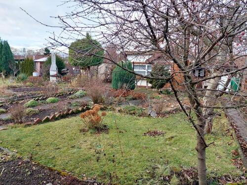 Foto - Grundst&uuml;ck in Glauchau zur Miete