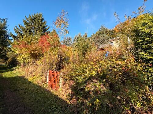 Foto - Grundst&uuml;ck zur Miete in Chemnitz