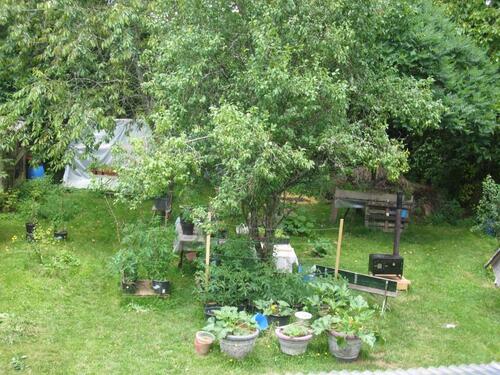 Foto - Bauernhaus, Landhaus in Freisen zum Kaufen