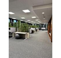 Coworking Space in Münster - 390,00 EUR Kaltmiete, in Münster (PLZ: 48151) Mitte-Süd