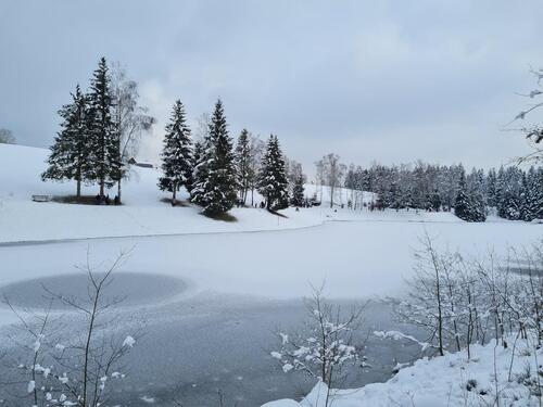Foto - Urlaub Winter im bayerischen Wald