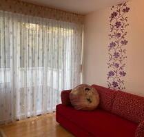 Gepflegte 1-Zimmerwohnung, Küche, Bad, Balkon - Steinweiler