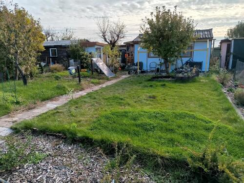 Foto - Kleingarten im KGV Gemeinnutz Engelsdorf abzugeben