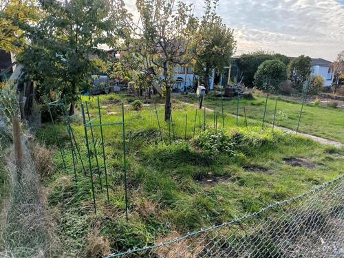 Foto - Grundstück in Leipzig