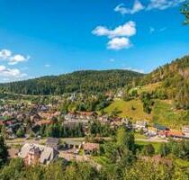 3 Zimmerwohnung in Todtmoos zu vermieten
