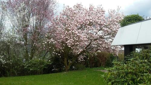 Foto - Repräsentativ in exklusiver Aussichtslage von Bad Godesberg