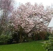 Repräsentativ in exklusiver Aussichtslage von Bad Godesberg - Bonn