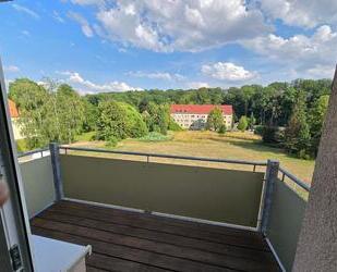 Wärmedämmung & (wahlweise) Balkon, helle 3- oder 4-Raum-Wohnung - Leisnig
