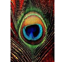 schöner Praxisraum im Akazienkiez Schöneberg - Berlin Tempelhof-Schöneberg