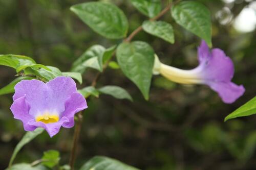 Foto - 3 Zimmer Einfamilienhaus in Hann. Münden