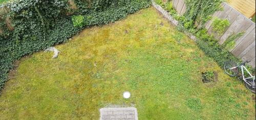 Foto - 3 Zimmer Erdgeschoßwohnung in Chemnitz