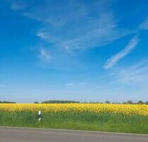 Ferienwohnung Ostsee, 2 Pers.mit Hund - Gelting
