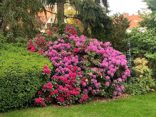 Foto - 7 Zimmer Einfamilienhaus zur Miete in Nürnberg