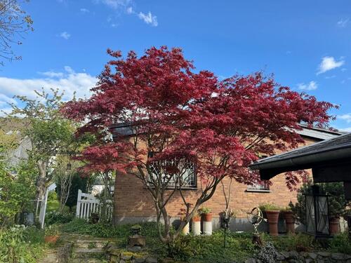 Foto - Einfamilienhaus in Leverkusen