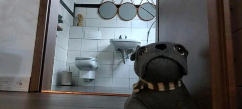 Foto - andere zur Miete in Weißwasser (Oberlausitz)