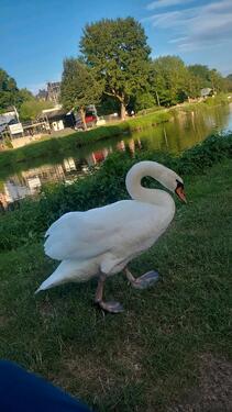 Foto - 4 Zimmer Erdgeschoßwohnung zur Miete in Limburg an der Lahn