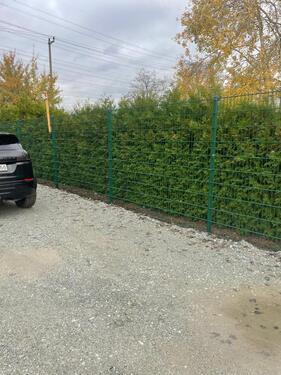 Foto - andere in Heidenau