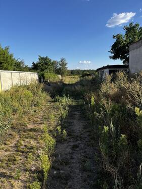 Foto - Grundst&uuml;ck zur Miete in Dessau-Roßlau