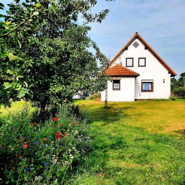 Foto - Ferienhaus Ostfriesland Nordsee Hund zw. Dangast u.Carolinensiel