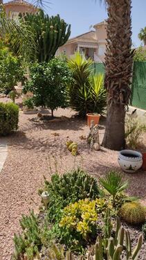 Foto - andere in Bornheim zur Miete