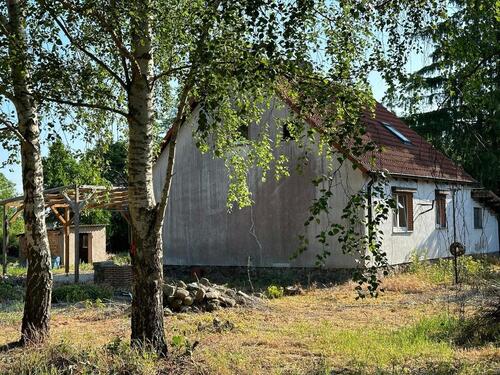 Foto - 4 Zimmer Einfamilienhaus in Neetzow-Liepen