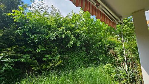 Foto - 2 Zimmer Etagenwohnung zum Kaufen in Plauen