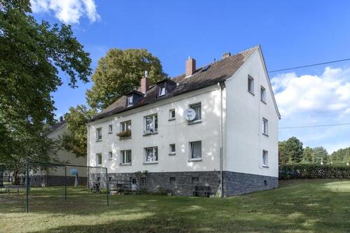 Foto - Neues zu Hause in der Sommewiese