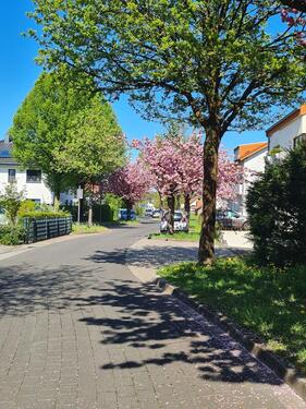 Foto - Frisch renovierte 2-Zimmer-Wohnung mit Balkon & Stellplatz
