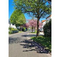 Frisch renovierte 2-Zimmer-Wohnung mit Balkon & Stellplatz - Bad Lippspringe