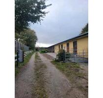 2 Zimmer Wohnung auf Pferdehof - 300,00 EUR Kaltmiete, ca.  55,00 m² in Cuxhaven (PLZ: 27476) Duhnen