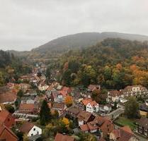 Harz Urlaub Ferienwohnung Apartment - Bad Grund (Harz)